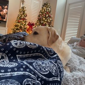 Meet your Posher, Owen